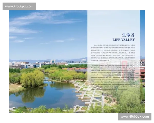 体育文化全球传播路径与创新策略研究探析